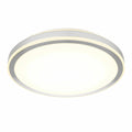 Round silver LED ceiling light fixture with white diffuser and integrated LED ring, shown against white background.