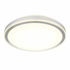Round silver LED ceiling light fixture with white diffuser and integrated LED ring, shown against white background.