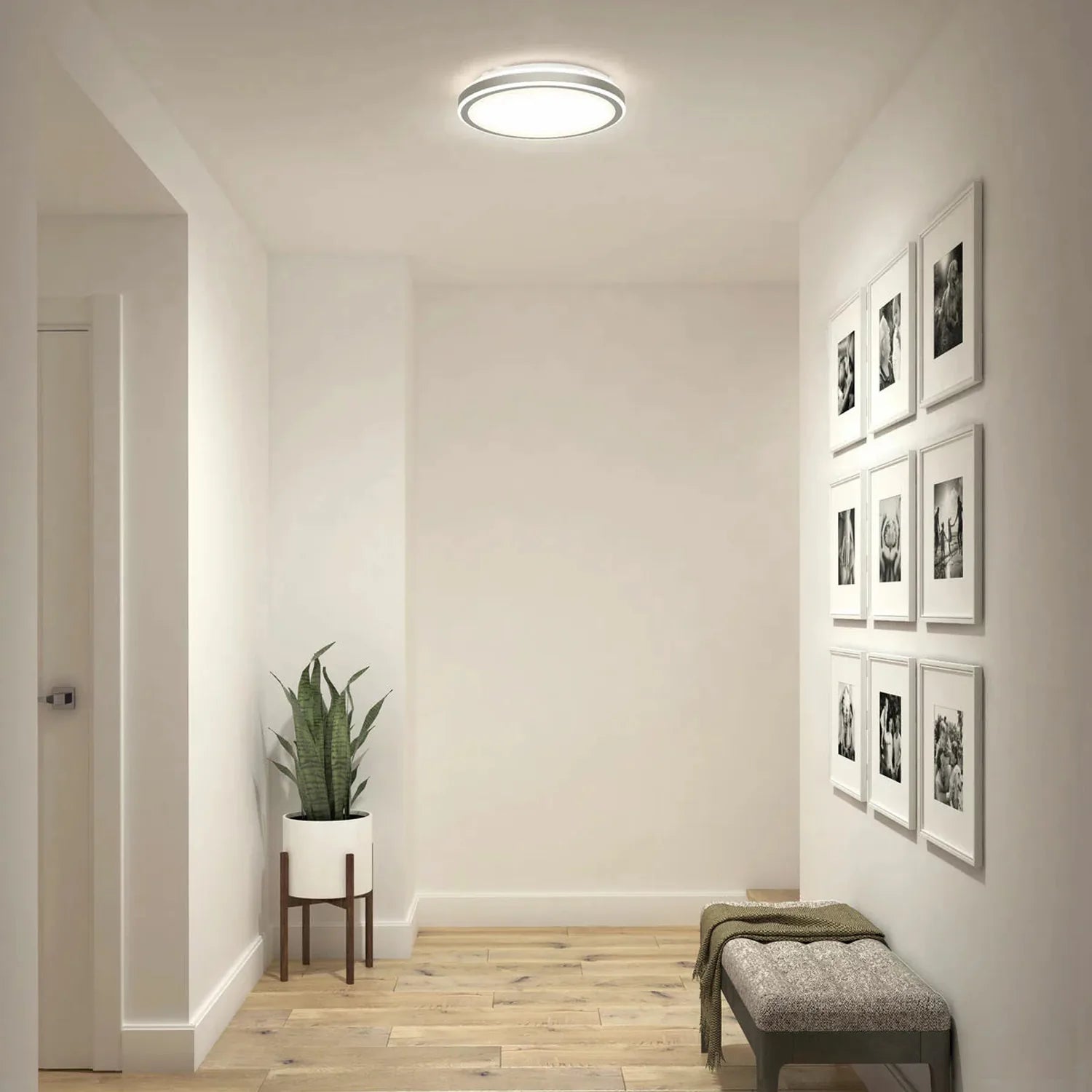 Artika Altitude LED ceiling light installed in modern hallway, illuminating white walls with framed photos and potted plant.