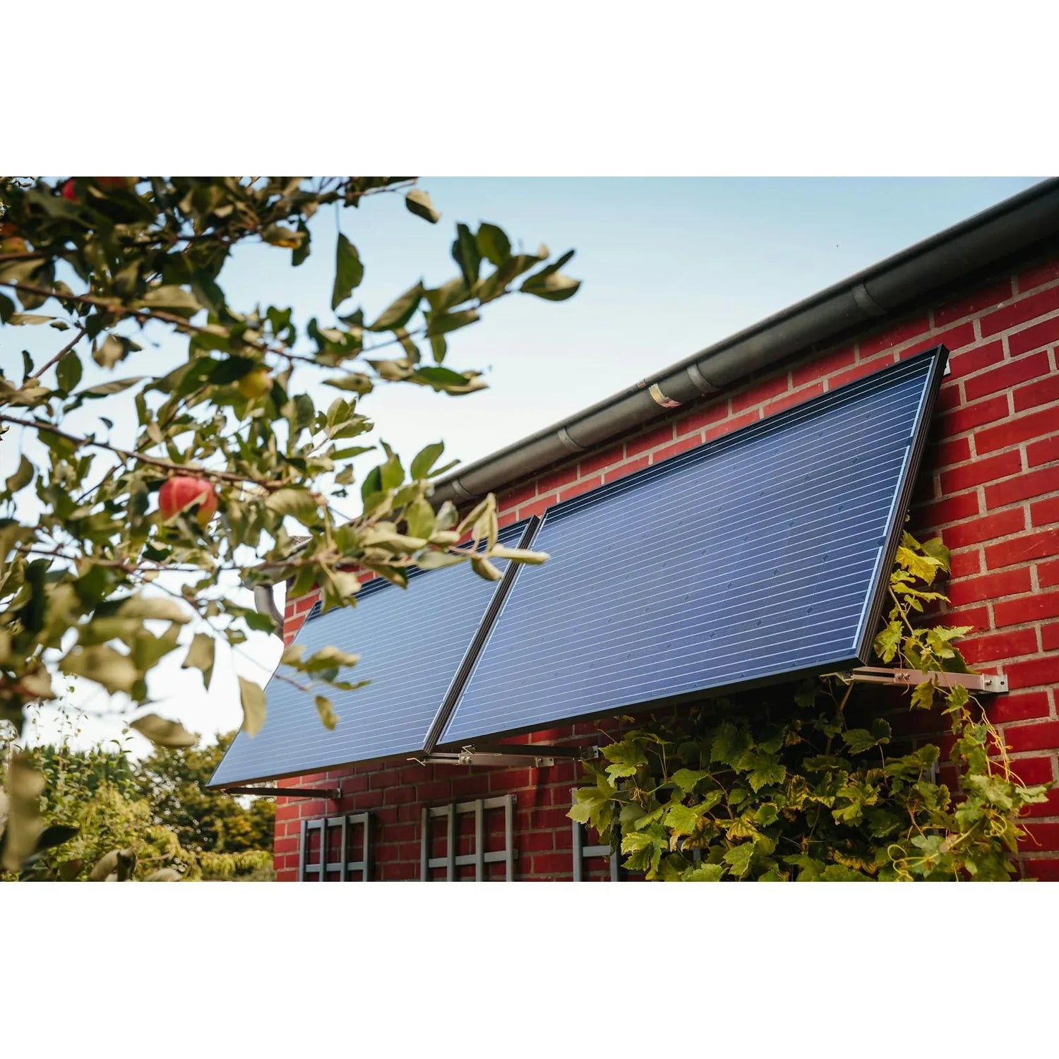 Blue solar panel mounted on red brick building with black metal frame and surrounding foliage.