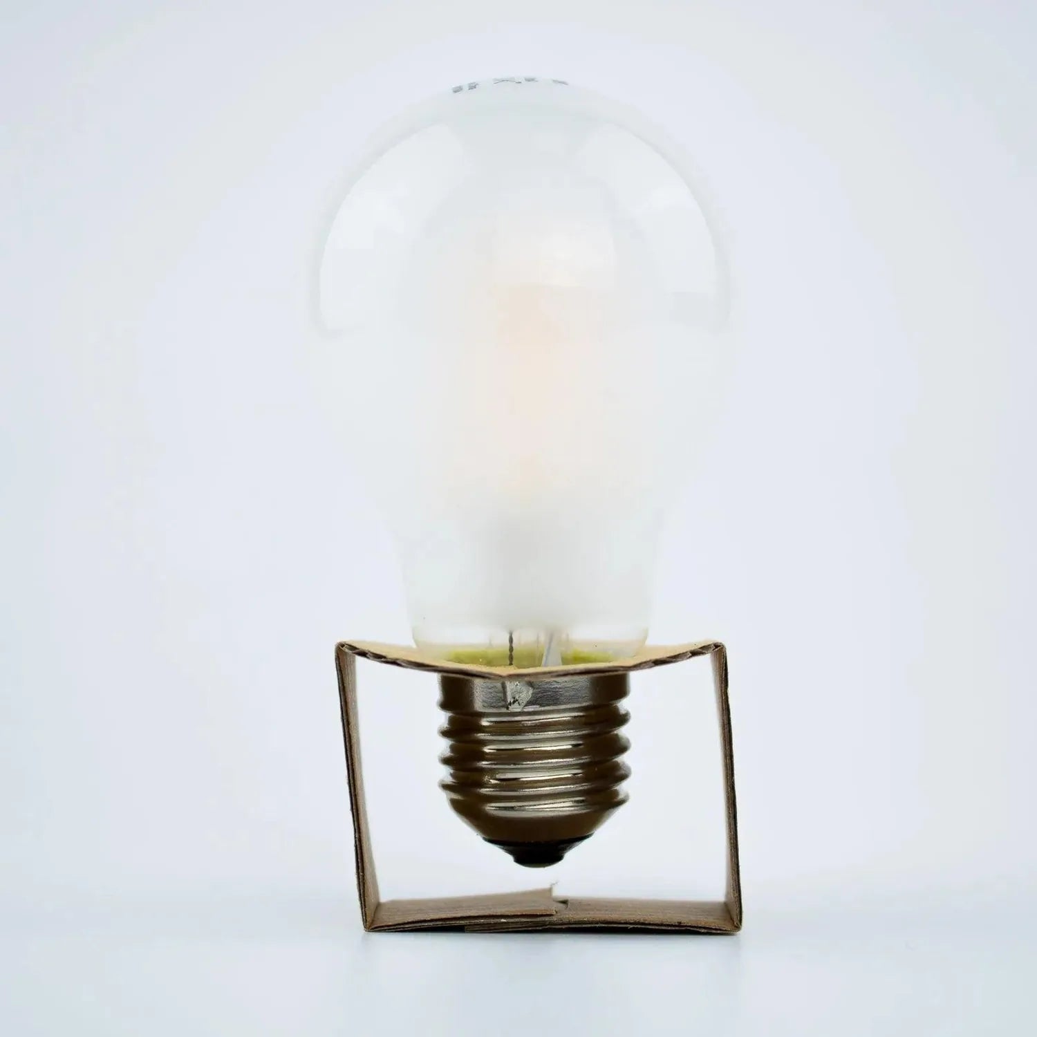 Frosted LED filament bulb with warm glow mounted in brass socket, displayed against white background.