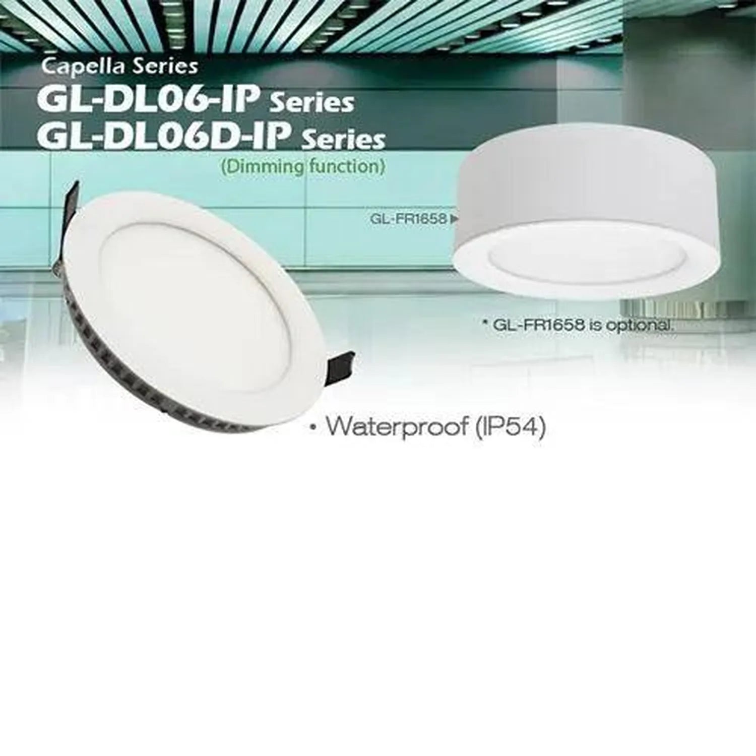 Two white LED panel lights shown: recessed downlight and surface-mounted ceiling fixture, both waterproof IP54 rated, part of