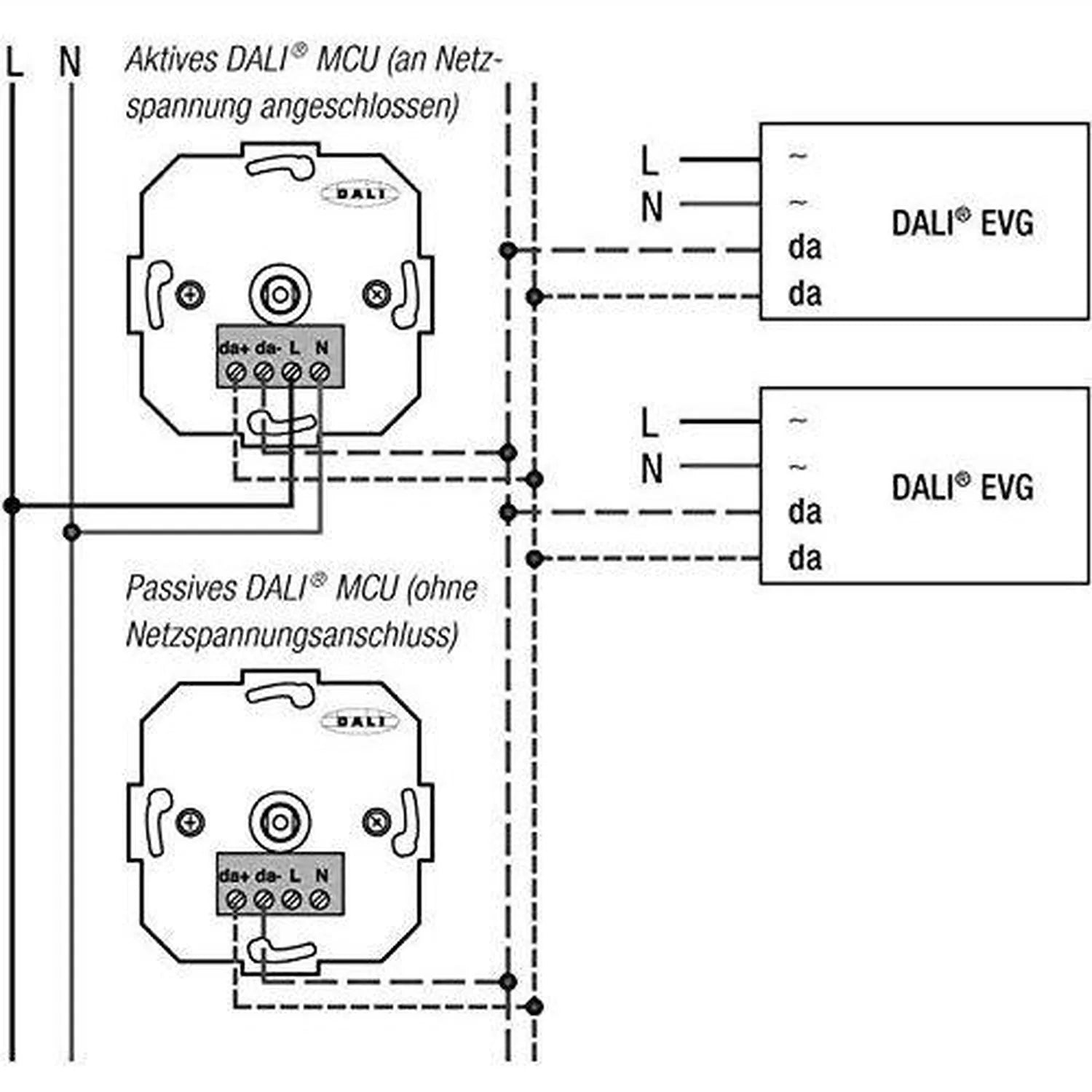 Wiring diagram showing DALI MCU rotary dimmer switch connections to two DALI EVG devices, with active and passive network con