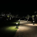 LED bollard lights illuminating a residential pathway at night, with uplit palm trees and landscape lighting creating ambient