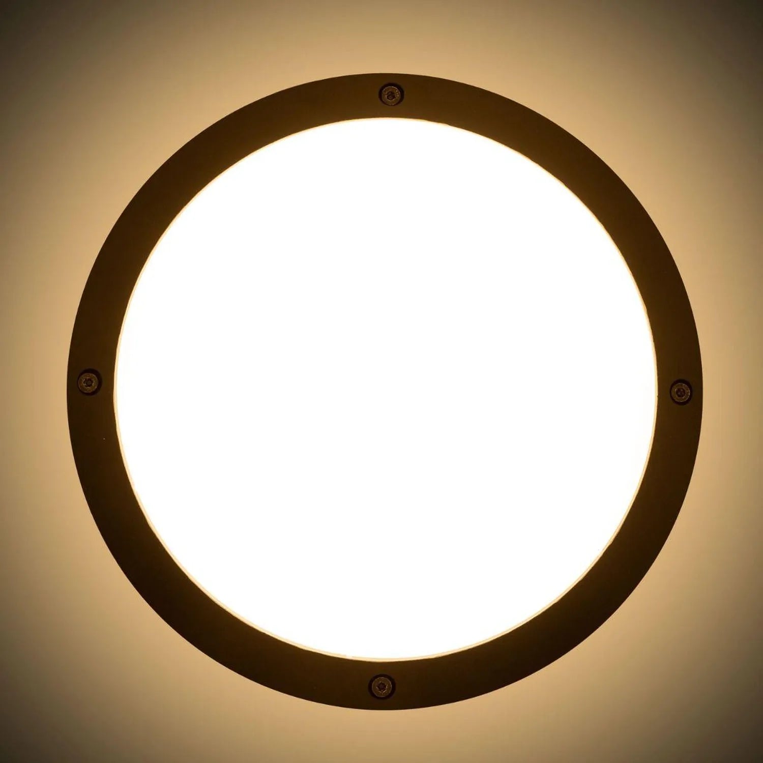 Round bronze LED bulkhead light with white center and warm ambient glow, mounted against ceiling with visible fastening screw