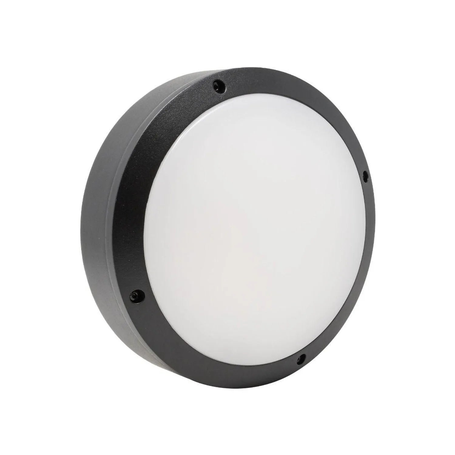 Round dark gray LED bulkhead light with white diffuser and mounting screws, shown against white background.