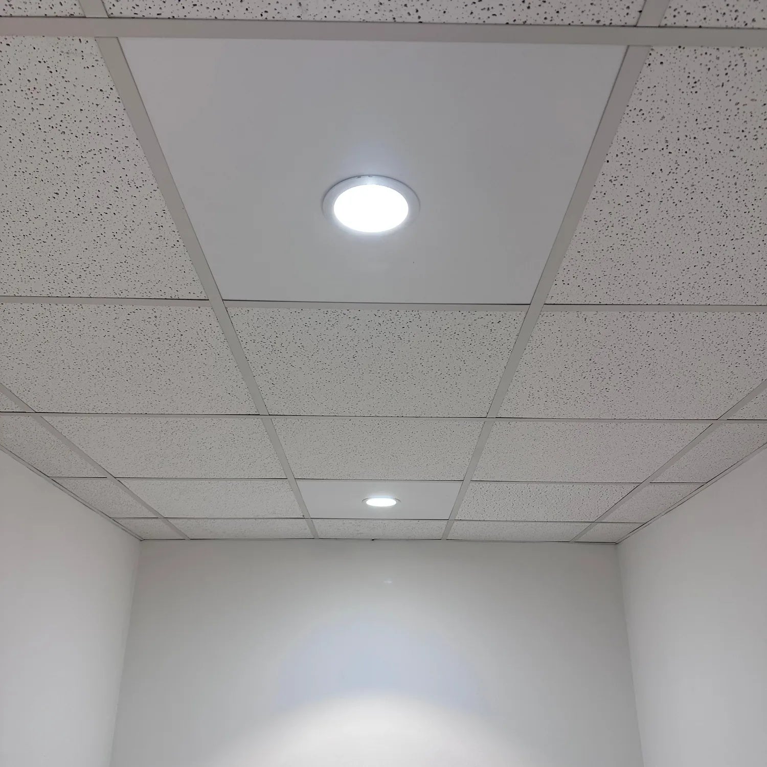 Installed LED downlight with bright white glow in acoustic drop ceiling surrounded by recessed panel tiles in commercial or o