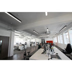 Modern office space with linear LED ceiling lights installed above workstations and collaborative areas.
