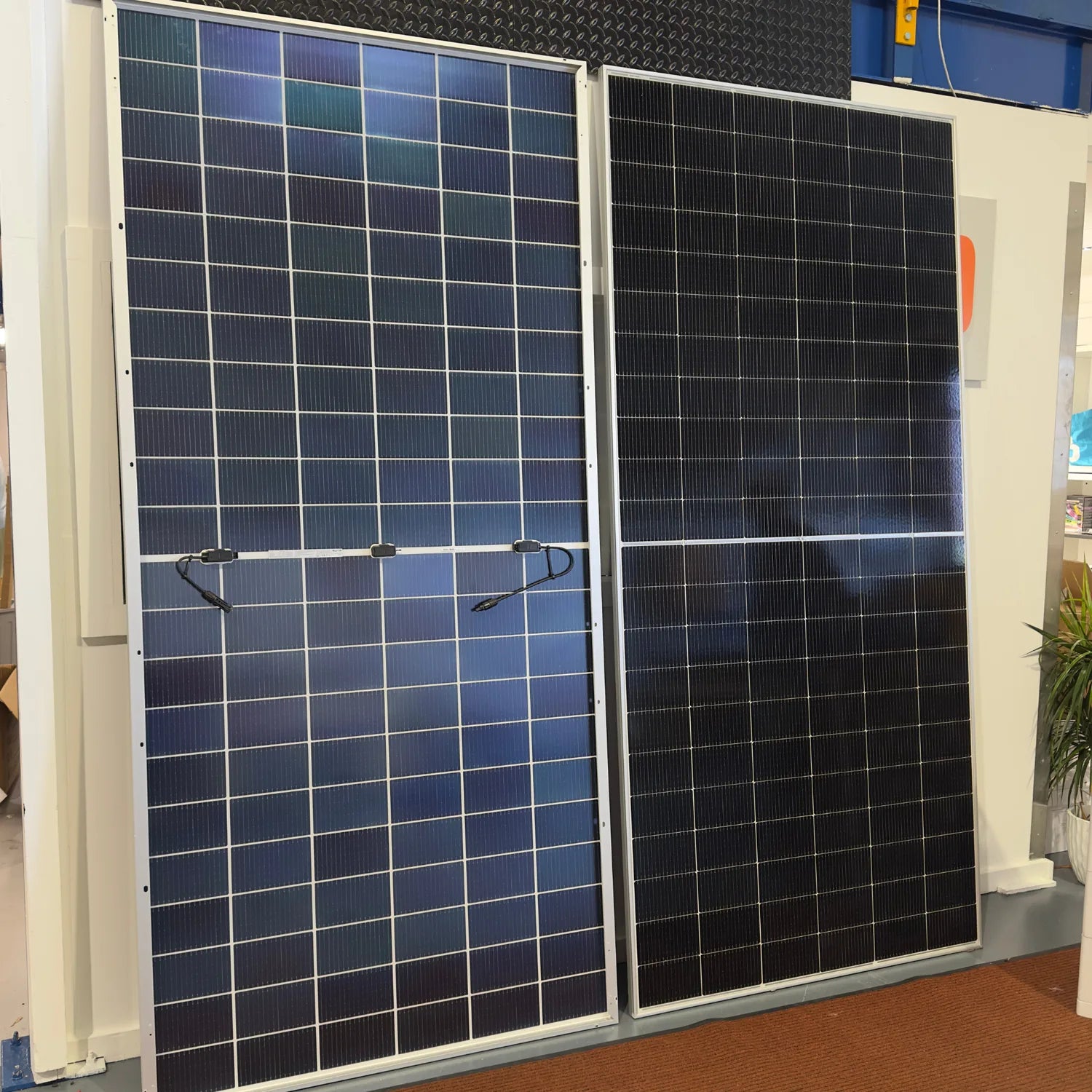 Two large bifacial solar panels mounted vertically against a cream-colored wall in an indoor showroom setting, displaying the