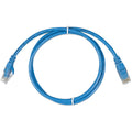 Blue Ethernet RJ45 cable coiled against white background with molded connectors at each end