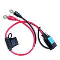 Victron M6 eyelet connector cable with 30A ATO fuse, featuring pink and black wires with ring terminals and fuse holder again