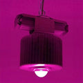 Pendant-mounted LED grow light with cylindrical ribbed heatsink and white light dome, suspended against magenta background, i