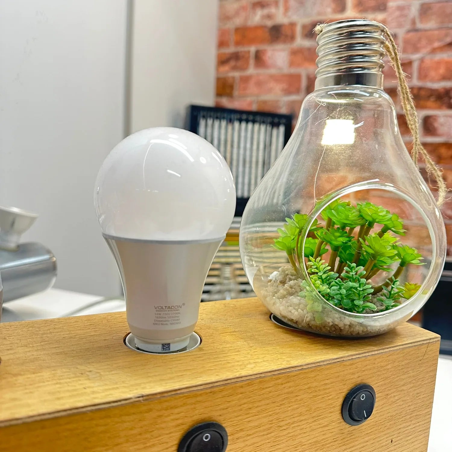 White LED bulb next to glass lightbulb terrarium containing green plants and soil on wooden shelf.