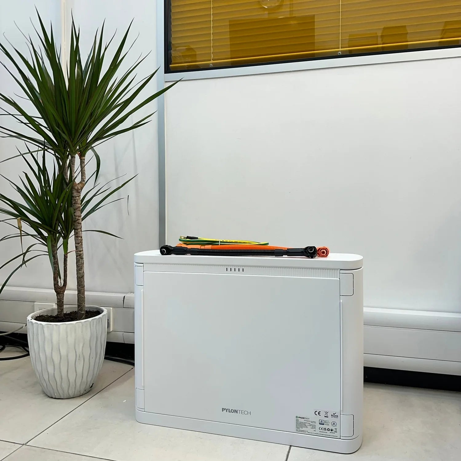 White Pylon Tech hybrid solar inverter displayed on desk with colored cables on top, potted palm plant to the left, and windo