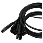 Black modular power cable bundle with eight connectors featuring red accent bands, coiled and fanned out against white backgr