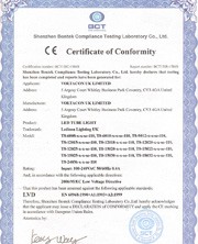 LED Tubes T8