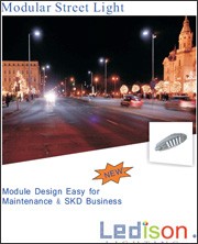 Ledison LED Street Lights