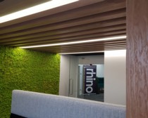 Commercial Dimmable LED Lights in Natural White