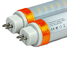 Solar Led Lights