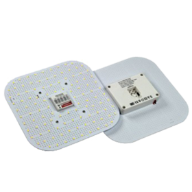 2D LED