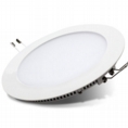 Ledison Downlighter 25W