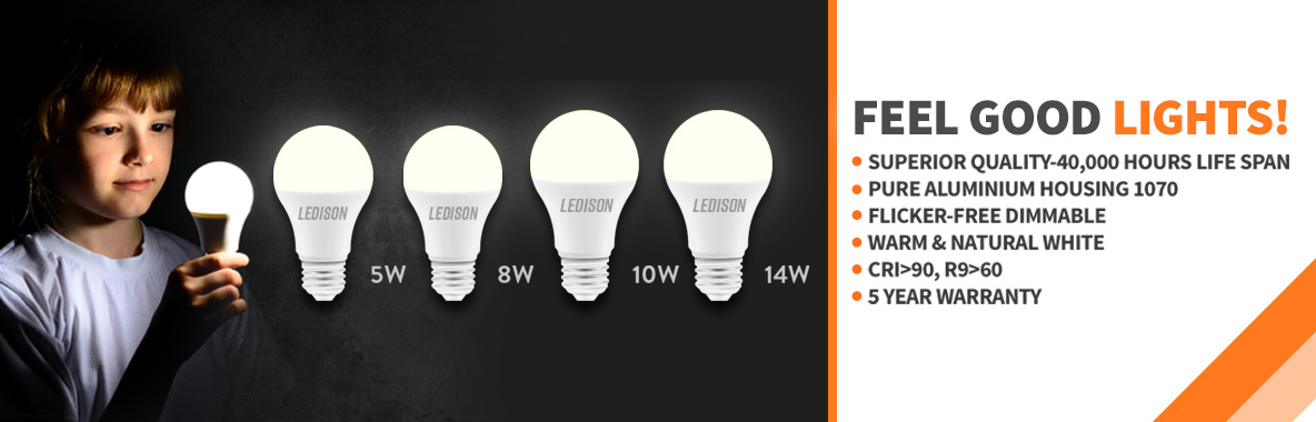 LEDISON Globe LED Bulb 2